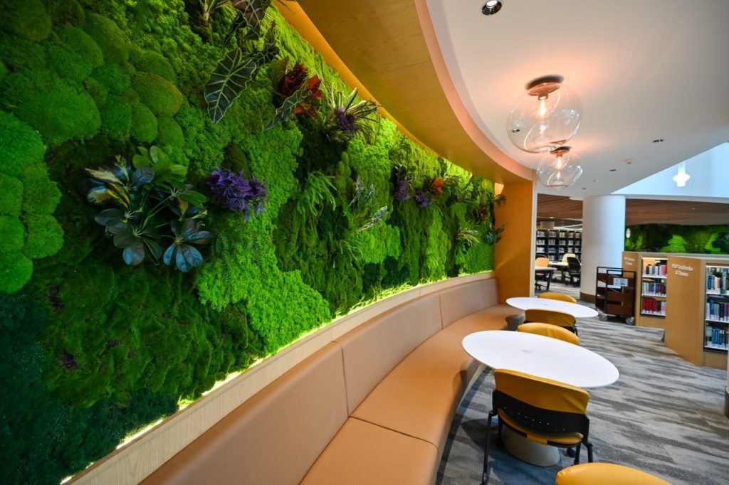 Interior of Assas University library in Singapore, featuring rows of bookshelves, study desks, and bright natural lighting.