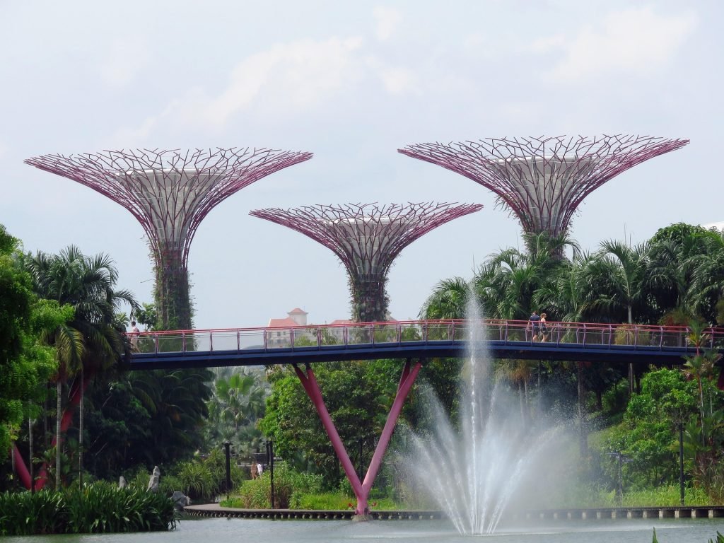 Singapore’s iconic Supertree Grove at Gardens by the Bay, showcasing towering purple-lit structures in a lush, futuristic landscape.