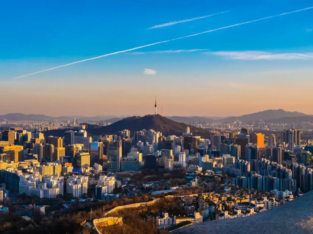 View of Seoul city with a mountain in the background and buildings in the foreground.