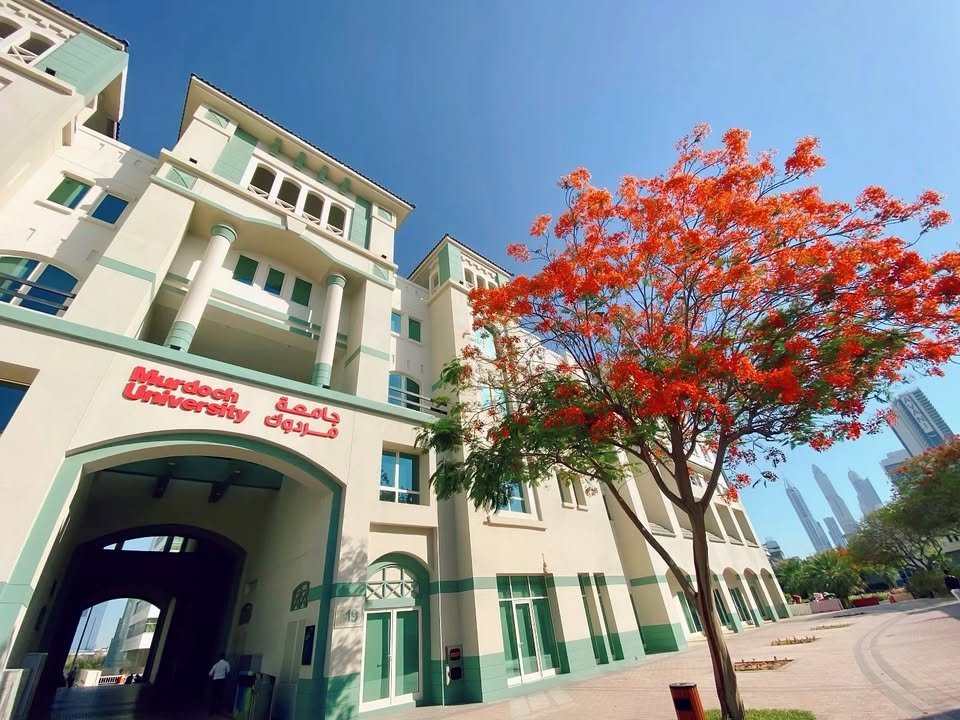 Murdoch University Dubai campus with a red tree