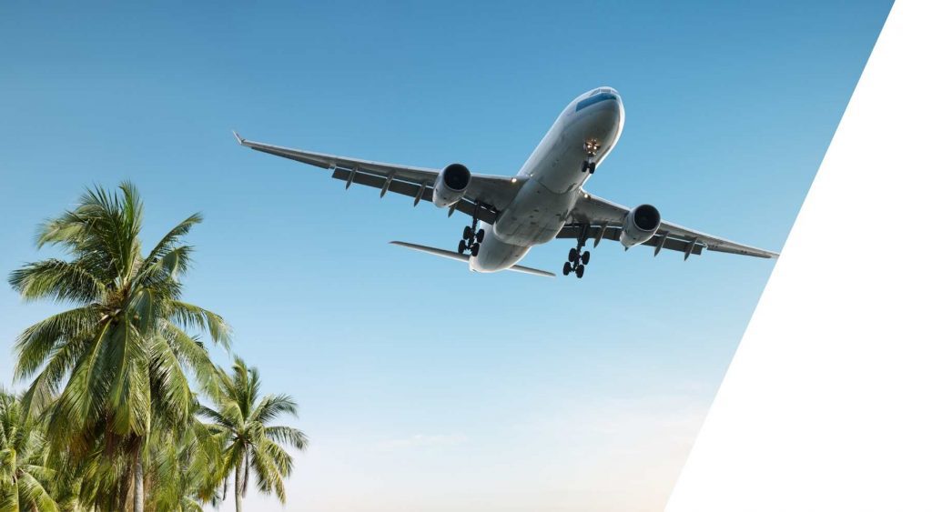 A large airplane flies low over tall palm trees against a clear blue sky, evoking a sense of tropical travel and anticipation of landing.