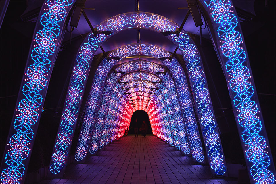 Tokyo Dome City Winter Illumination