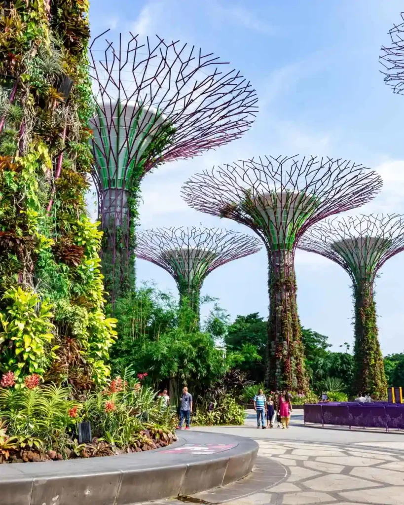 Paid internship in Singapore with Asia Exchange